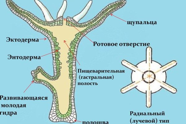 Кракен это современный даркнет маркетплейс