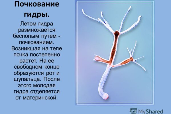 Вывести деньги с кракена