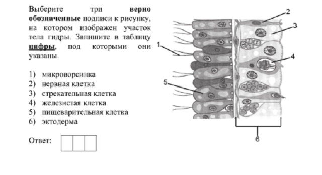 Кракен даркнет ссылка зеркало